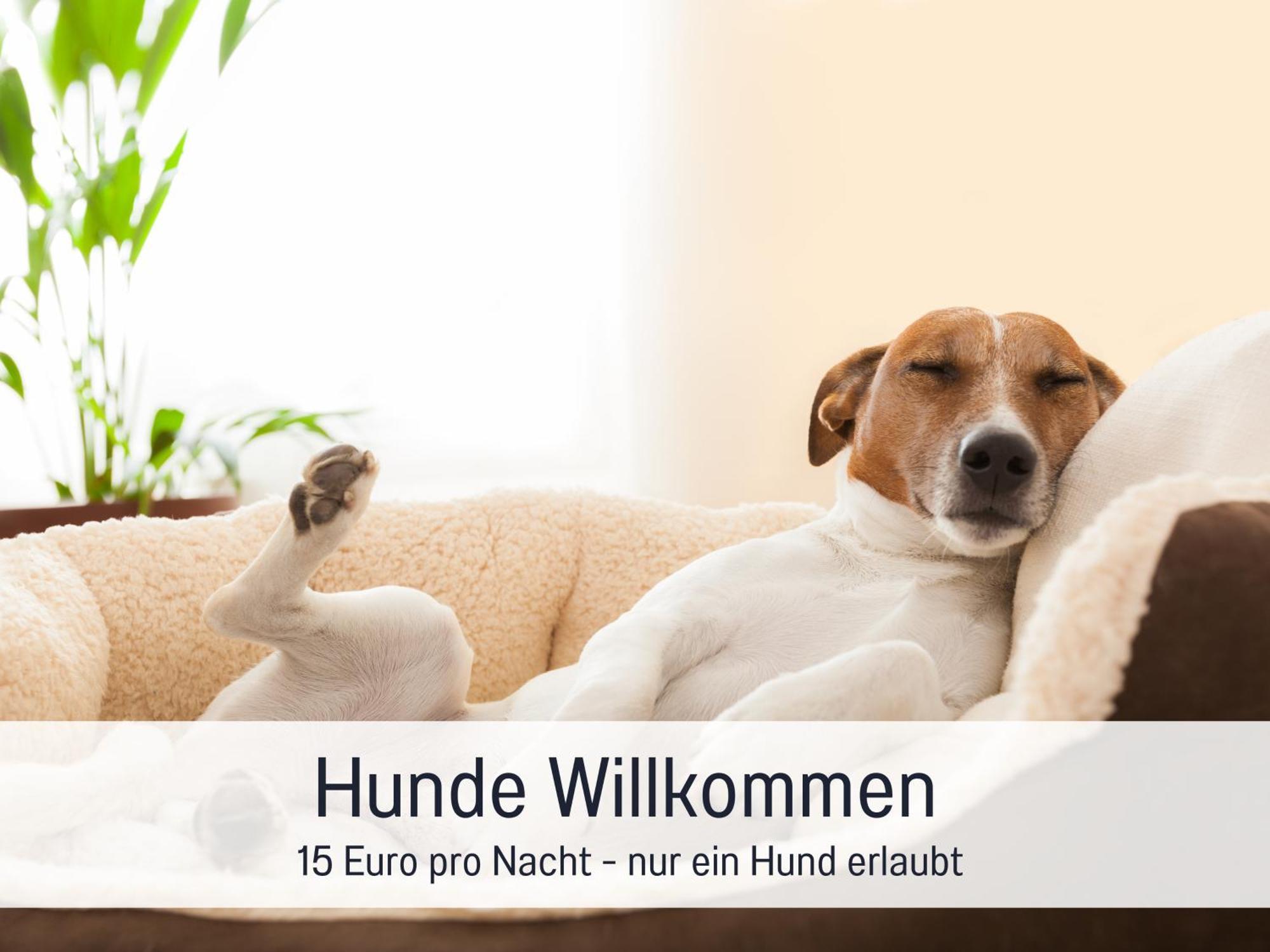Apartment Seezeit & Seminarhaus Am Ammersee Diessen am Ammersee